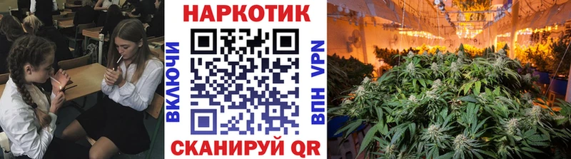 Магазины продажи наркотиков Кохма МАРИХУАНА  COCAIN  Alpha-PVP  МЕТАМФЕТАМИН  ГАШИШ 