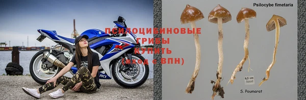 каннабис Абинск