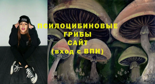 спайс Абаза