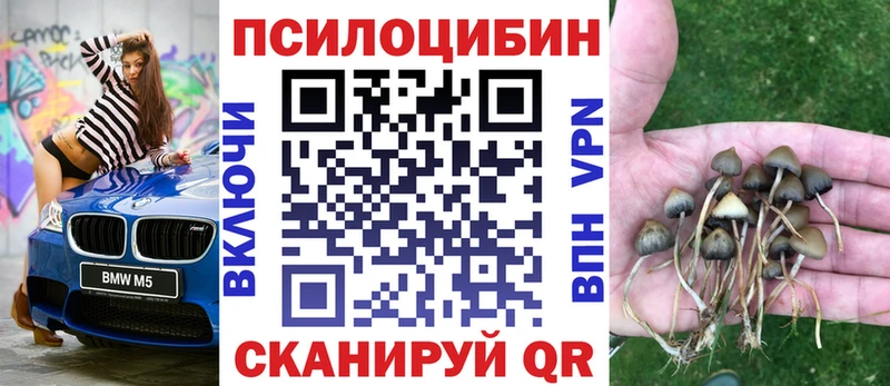 Псилоцибиновые грибы мухоморы  Кохма 